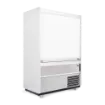 Picture of Williams Gem Multideck - R125 Security Shutter - R125CSRANGEOG