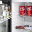 Picture of Polar G-Series Hotel Room Display Refrigerator - GE819