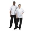 Picture of Whites Boston Unisex Short Sleeve Chefs Jacket White Medium (5 Pack) - SA822