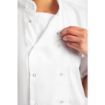 Picture of Whites Boston Unisex Short Sleeve Chefs Jacket White Medium (5 Pack) - SA822