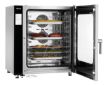 Picture of Combi steamer Silversteam2 P-10110DRS - 117186