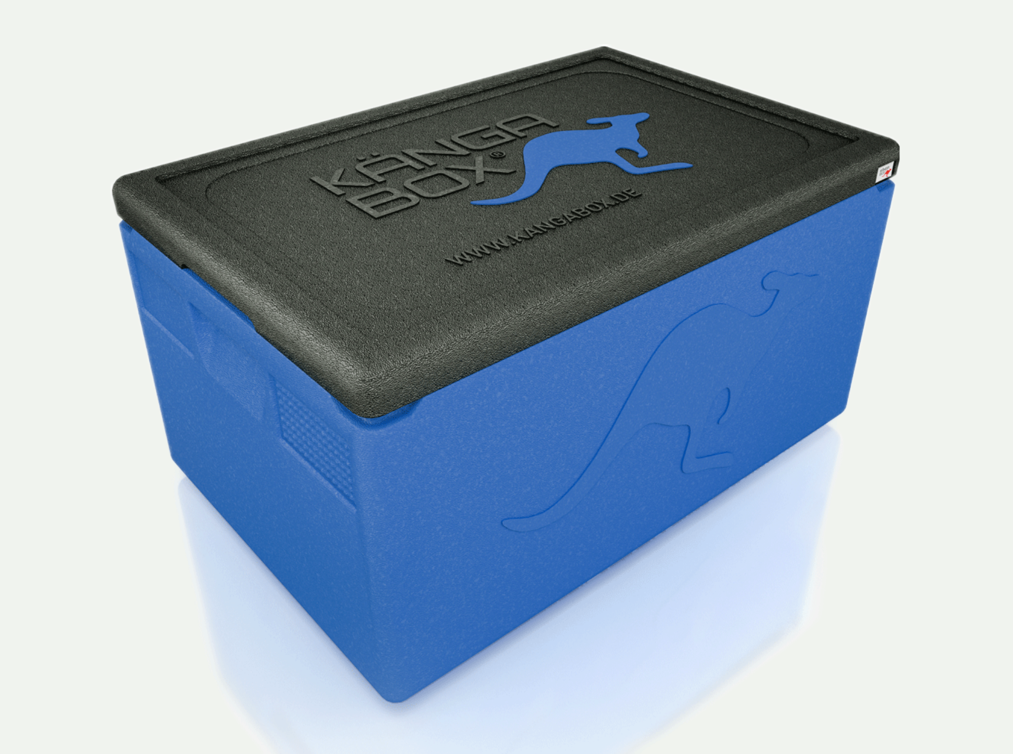 Picture of GN Thermobox Professional Blue - 2004111