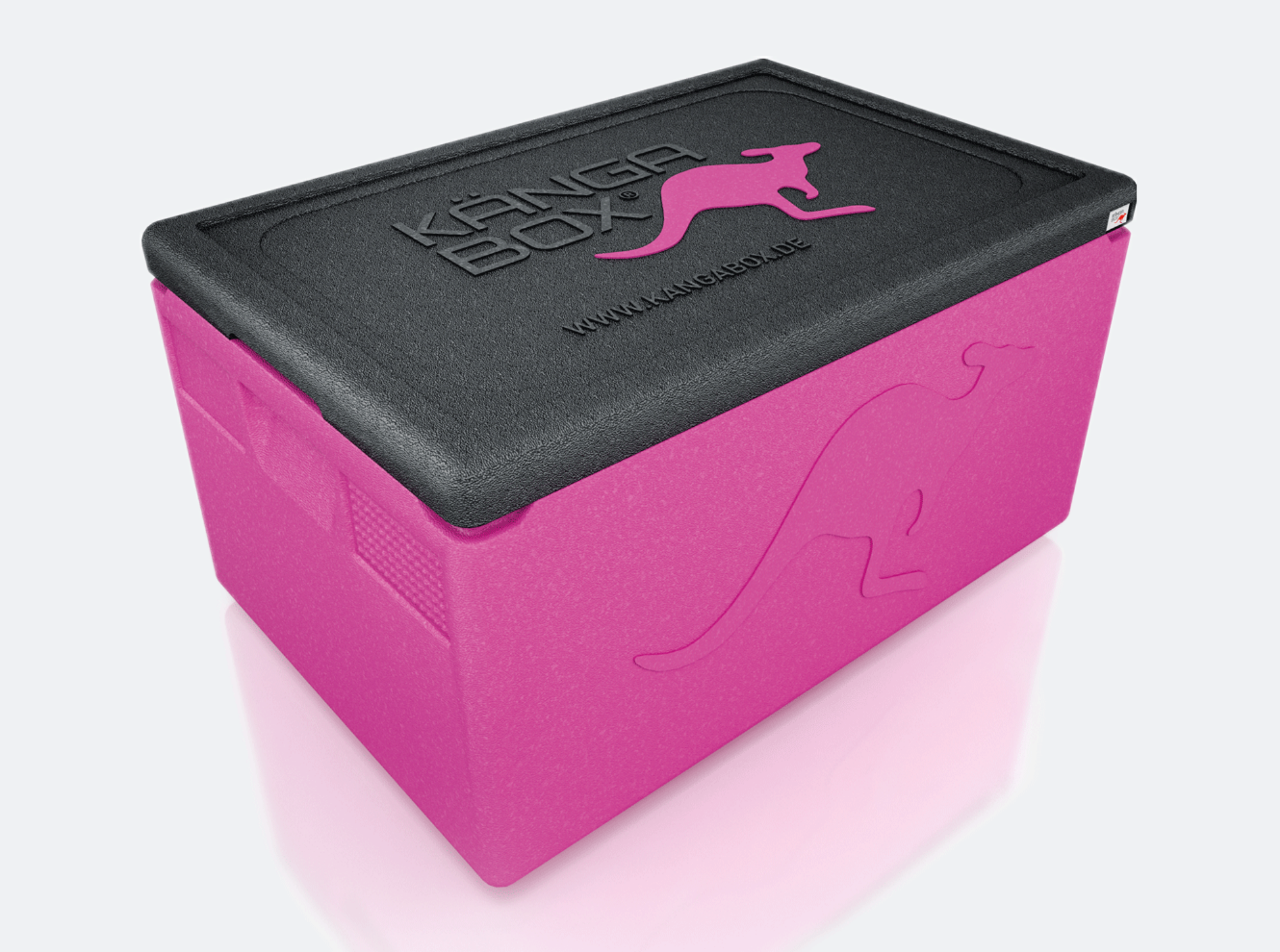Picture of GN Thermobox Professional Magenta - 2004311