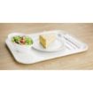 Picture of Olympia Kristallon Fibreglass Canteen Tray Light Granite 457mm - GF241