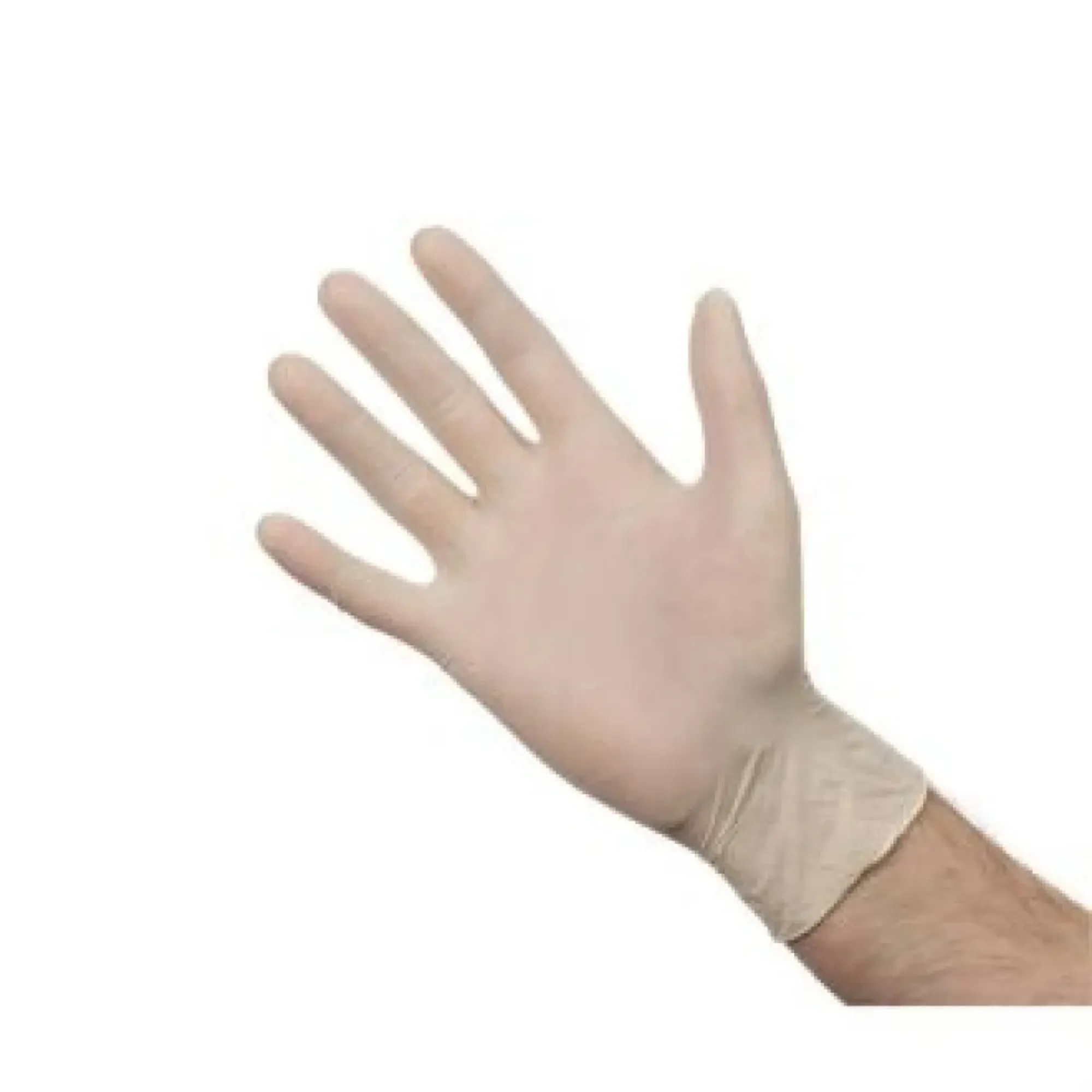 Picture of Gloves Latex Powder Free - Size M (pack 100) - 88803370