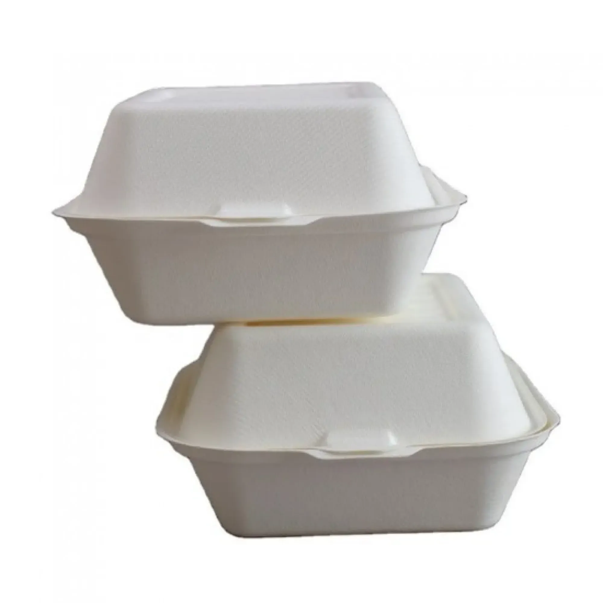 Picture of Bagasse Hamburger Box X 500 - 38300044