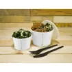 Picture of Compostable 16oz White Soup Container X 500 - 38300021