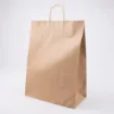 Picture of Kraft Twist Handle Bags Large X 250 - 05302949