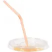 Picture of 9-20oz Gr Spirit Flat Lid Straw Slot X 800 - 22800166