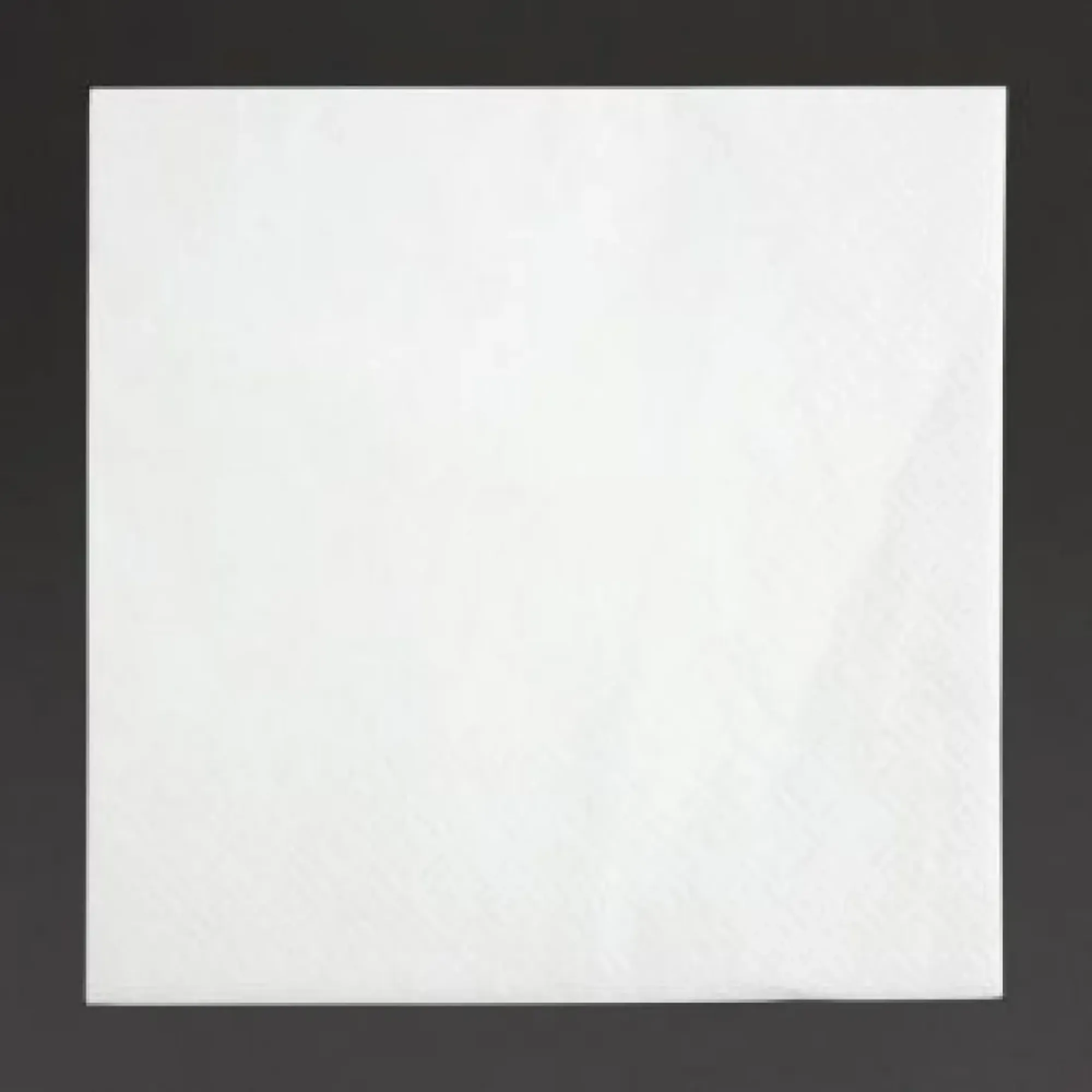Picture of White Cocktail Napkin 2 Ply X 4000 - 04561557