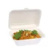 Picture of Bagasse 7'' Snack Box X 600 - 05263066