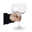 Picture of Olympia Lillie Cocktail Gin Glasses 540ml (6 Pack) - JA364