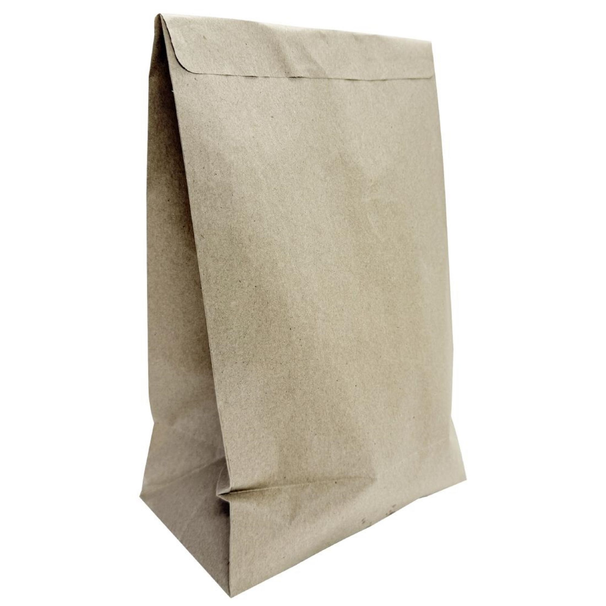 Picture of Fiesta Recyclable Sealable Takeaway Bags Large (250 Pack) - JA319