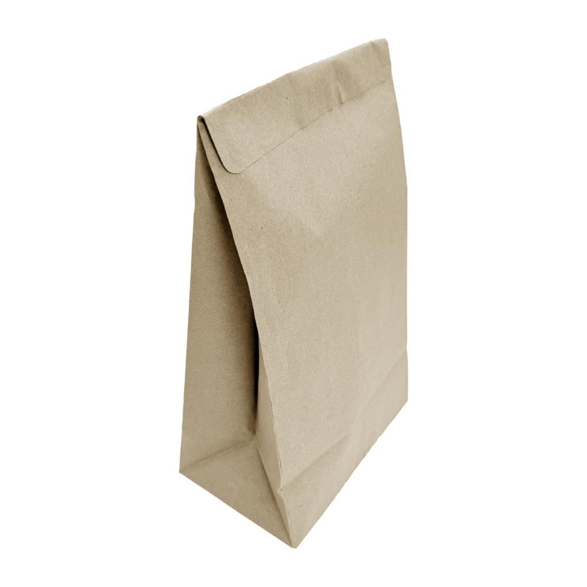 Picture of Fiesta Recyclable Sealable Takeaway Bags Medium (250 Pack) - JA318