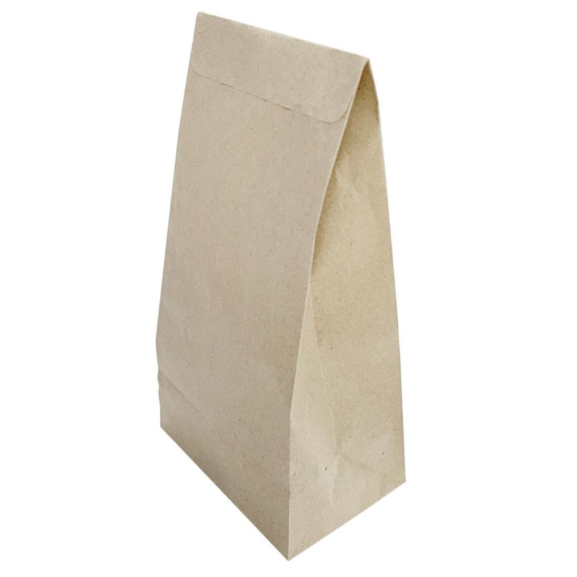 Picture of Fiesta Recyclable Sealable Takeaway Bags Small (250 Pack) - JA317