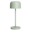 Picture of Olympia Siena Table Lamp Round Dome Sage 200mm - HZ202