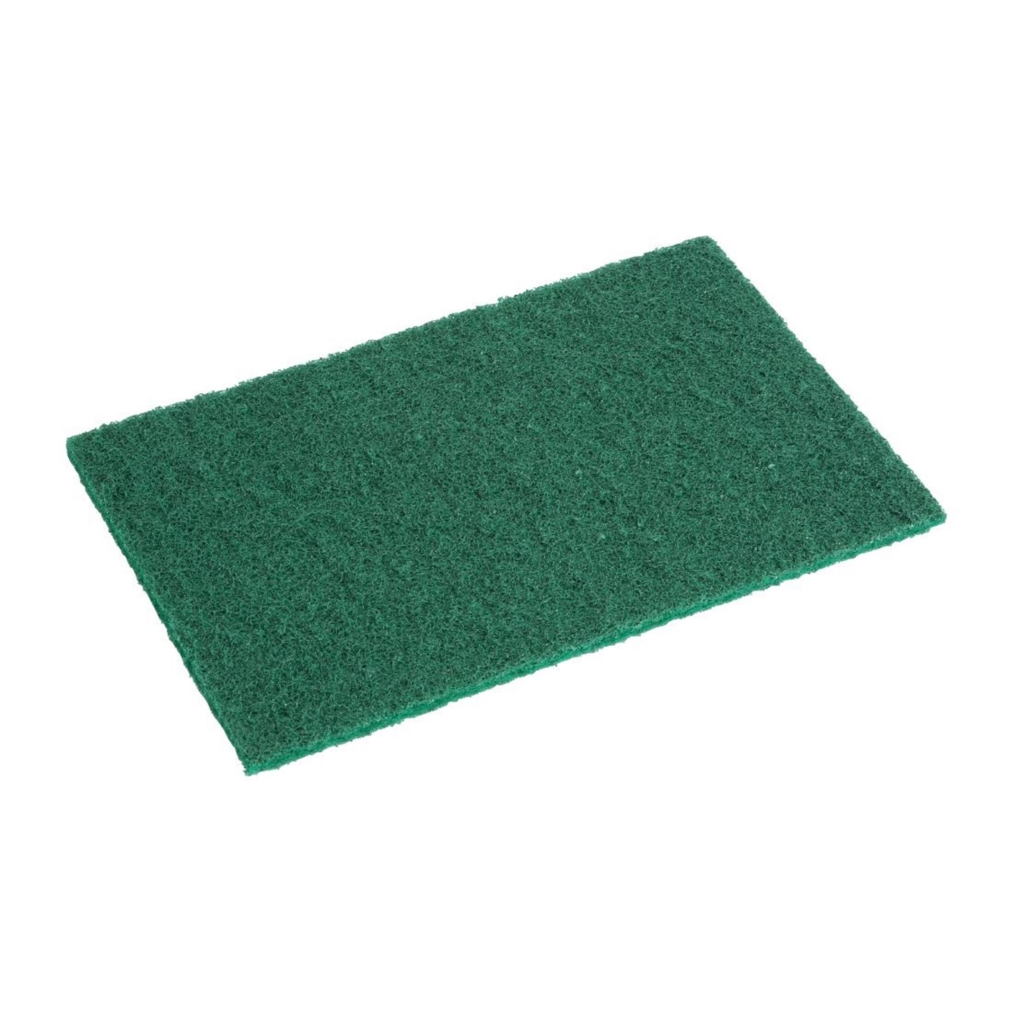 Picture of Jantex Large Scouring Pads - Green (10 pack) - HX233