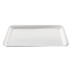 Picture of APS Pure Stainless Steel Tray - GF162