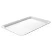 Picture of APS Pure Stainless Steel Tray - GF162