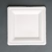 Picture of Fiesta Compostable Bagasse Square Plates 159mm (50 Pack) - FC518
