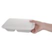 Picture of Fiesta Compostable Bagasse Hinged 2-Compartment Food Containers 253mm (200 Pack) - FC524