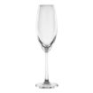 Picture of Olympia Cordoba Flute - 210ml 7 1/4oz (6 Pack) - FB554